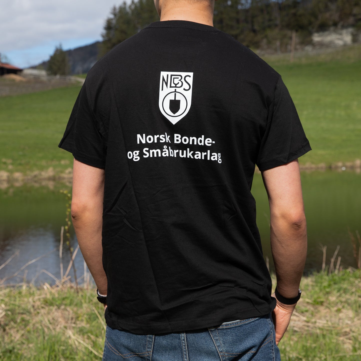 Ærlige tall
